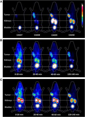 Refined Chelator Spacer Moieties Ameliorate the Pharmacokinetics of PSMA-617